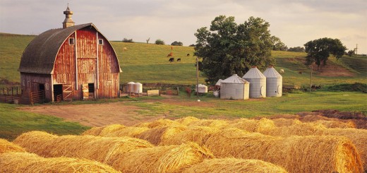 Success can be harvested the same way a crop can be - only if you plant it in advance and put a lor of effort into it.